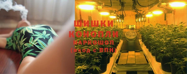 гашик Нягань